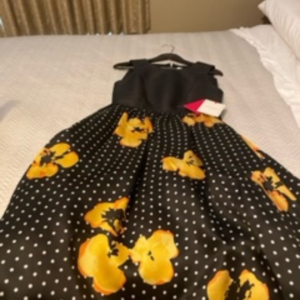 Carolina Herrera  Floral Dot Sleeveless A-Line Size 4